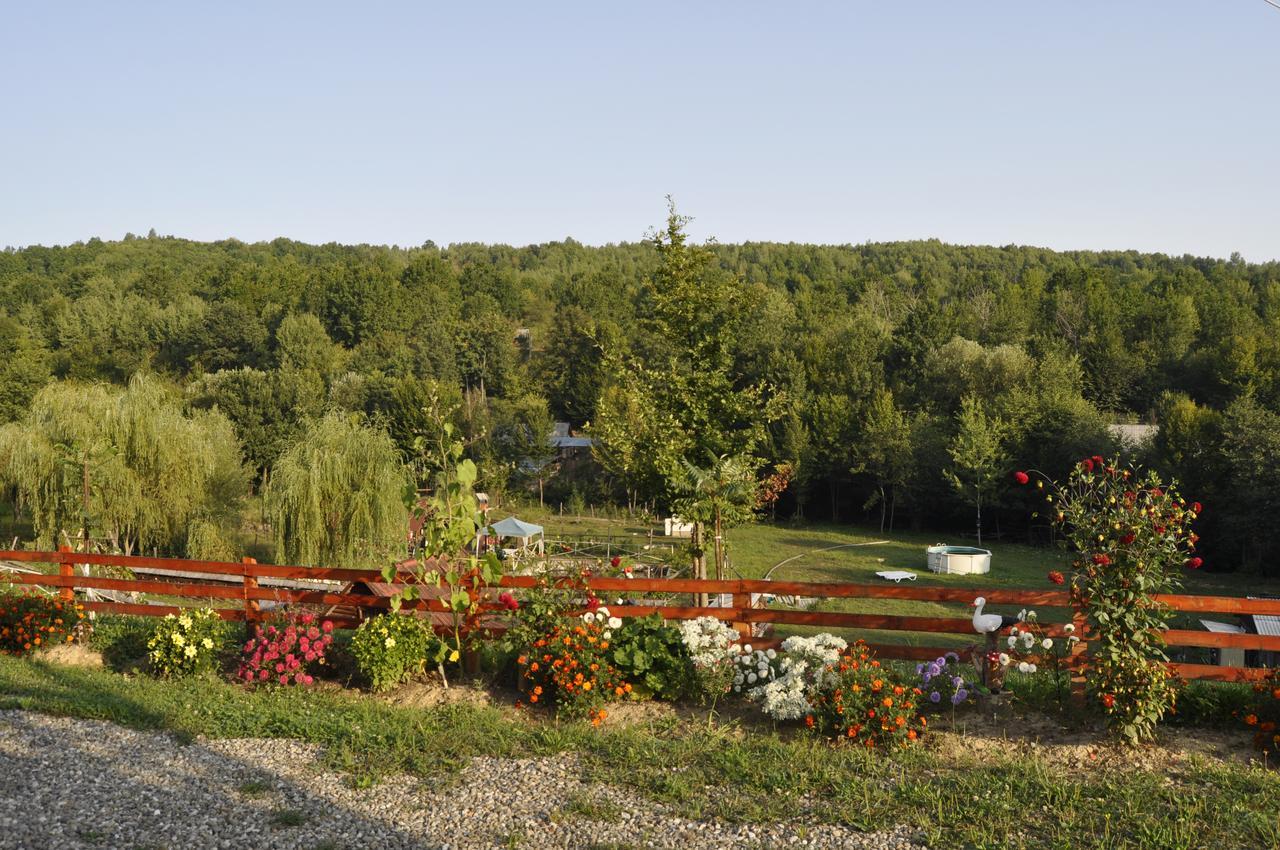 Floare De Maramures 2 Sighetu Marmatiei Bagian luar foto